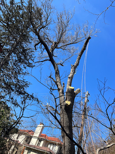 2023-03-07 (1) 2023 03 07 1